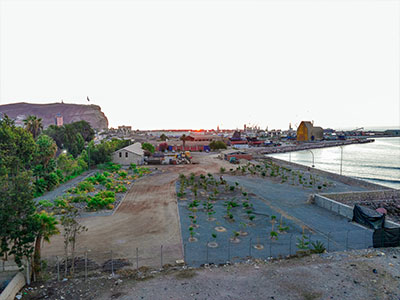 portfolio-image