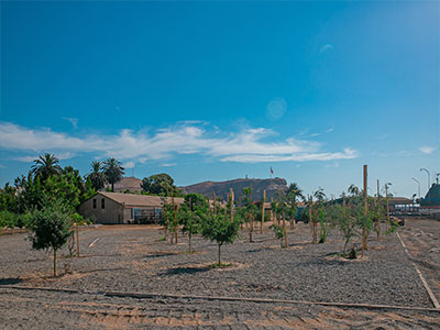 portfolio-image