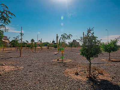 portfolio-image