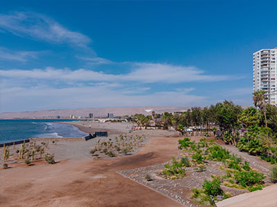 portfolio-image