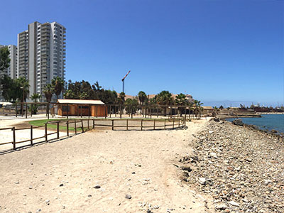 portfolio-image