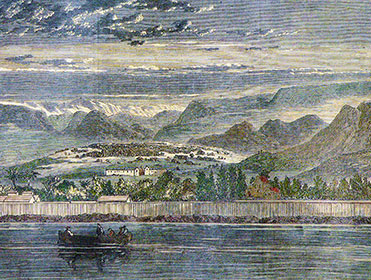 portfolio-image