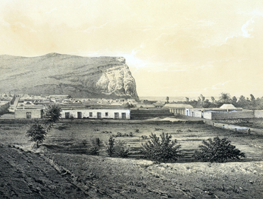portfolio-image